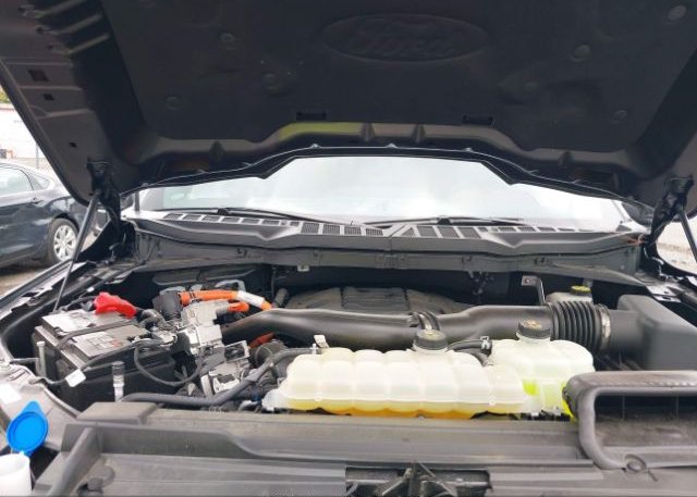 2022 FORD F-150(VIN: 1FTFW1ED5NFA99171