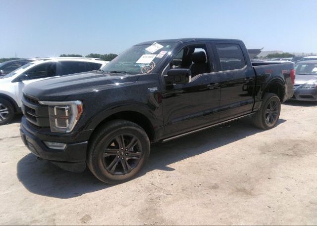 2022 FORD F-150(VIN: 1FTFW1E84NFA47937