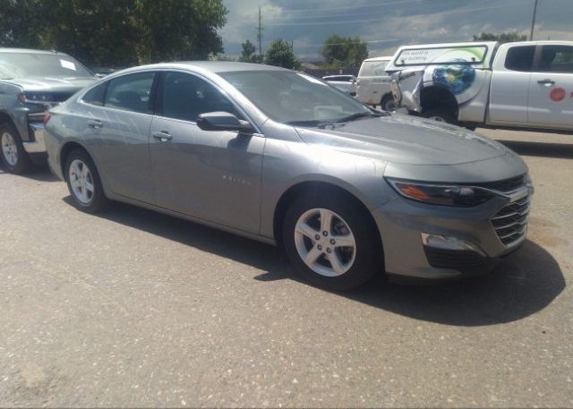 2023 CHEVROLET MALIBU (VIN: 1G1ZD5ST3PF172426)