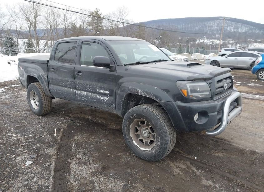 2005 TOYOTA TACOMA BASE V6 photo