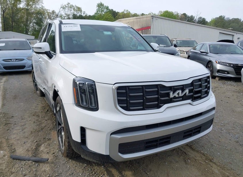 2025 Kia Telluride 3.8L photo