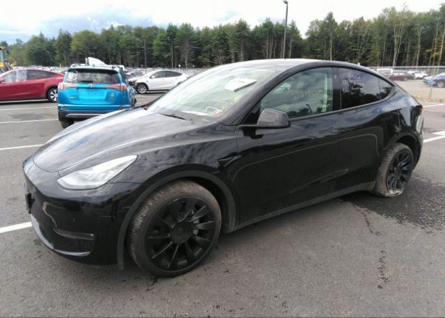 2021 TESLA MODEL Y(VIN: 5YJYGDEE6MF183910