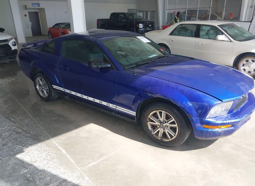 2005 Ford Mustang 4.0L photo