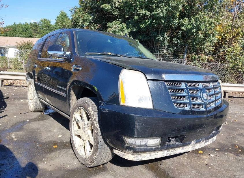 2009 CADILLAC ESCALADE STANDARD photo