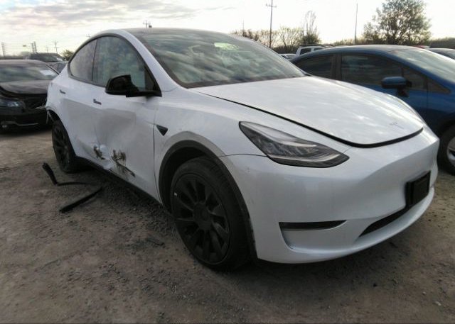 2022 TESLA MODEL Y (VIN: 7SAYGDEE7NF511999)