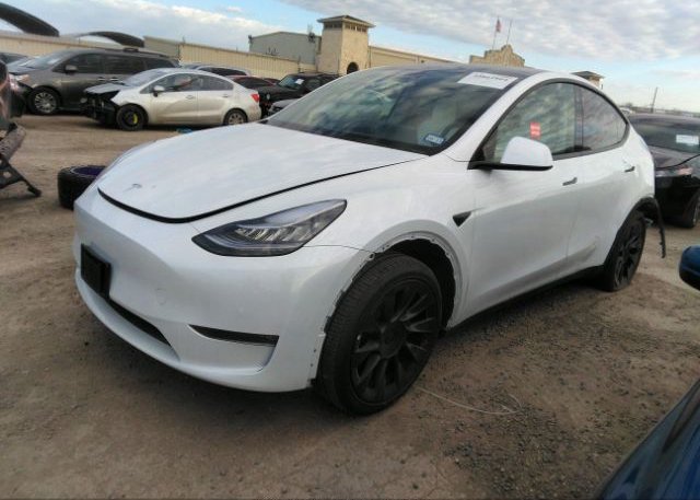 2022 TESLA MODEL Y(VIN: 7SAYGDEE7NF511999