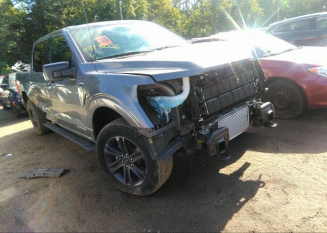 2021 FORD F-150 (VIN: 1FTFW1ED0MFC99261)