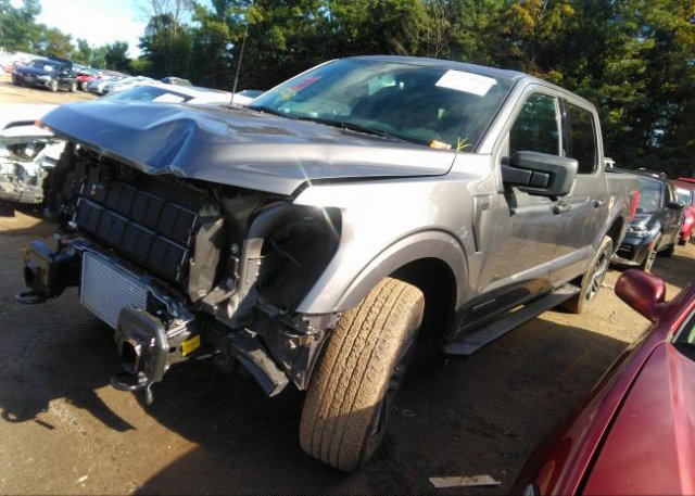 2021 FORD F-150(VIN: 1FTFW1ED0MFC99261
