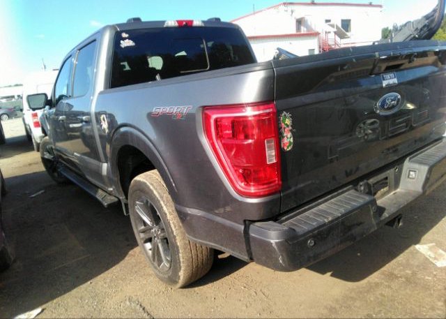 2021 FORD F-150(VIN: 1FTFW1ED0MFC99261