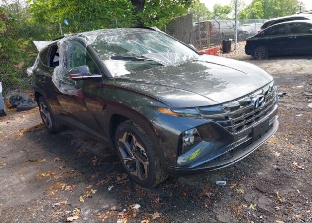 2024 HYUNDAI TUCSON (VIN: 5NMJECDE5RH353876)