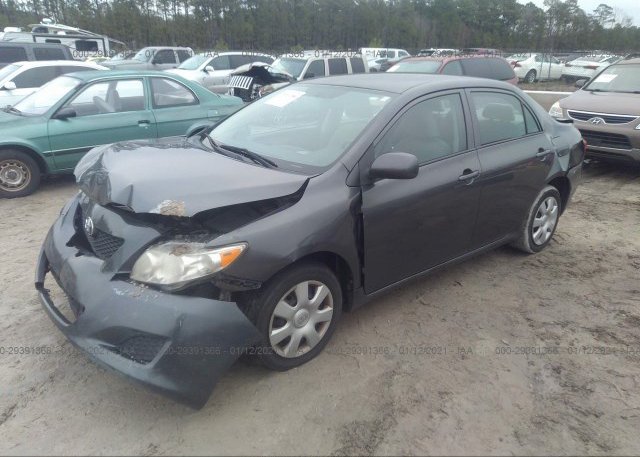 из сша 2010 TOYOTA COROLLA 2T1BU4EE0AC342029