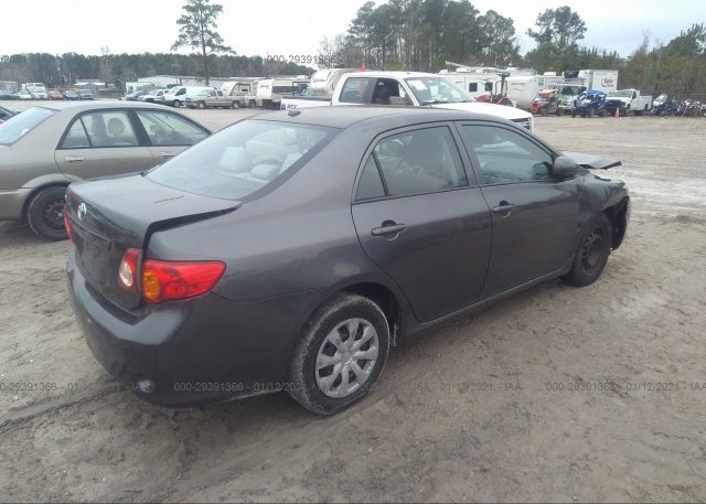цена в сша 2010 TOYOTA COROLLA 2T1BU4EE0AC342029