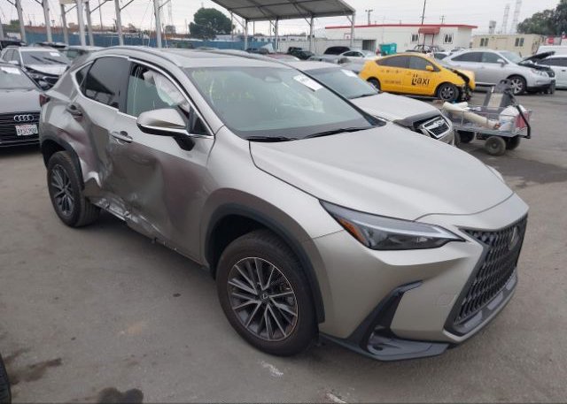2022 LEXUS NX (VIN: 2T2AGCEZ8NC013127)