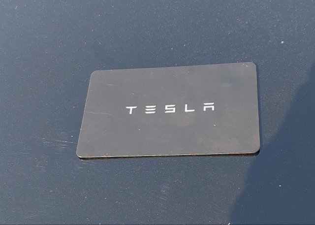 2023 TESLA MODEL Y(VIN: 7SAYGDEE0PF748420