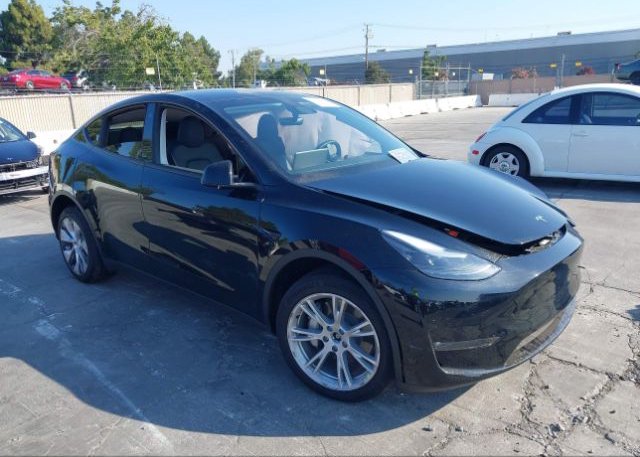 2023 TESLA MODEL Y(VIN: 7SAYGDEE0PF748420