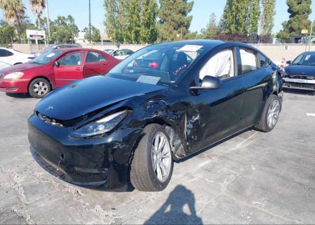 2023 TESLA MODEL Y(VIN: 7SAYGDEE0PF748420