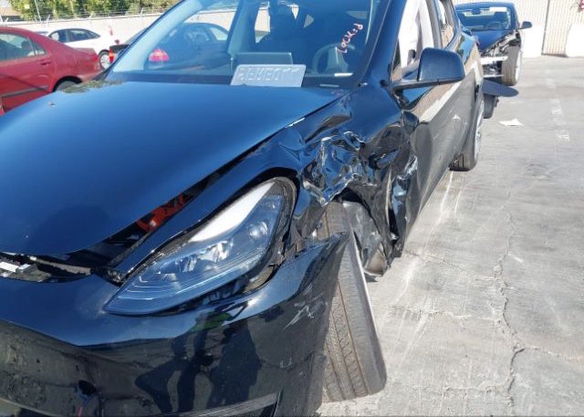 2023 TESLA MODEL Y(VIN: 7SAYGDEE0PF748420