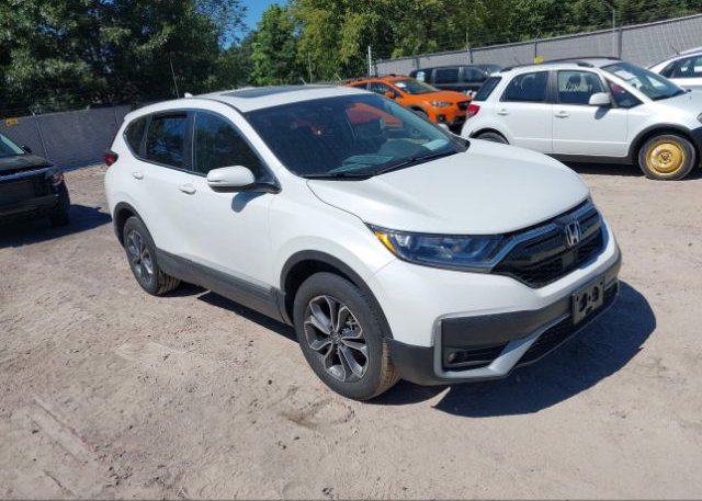 2022 HONDA CR-V (VIN: 7FARW2H87NE002594)