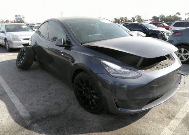 2022 TESLA MODEL Y (VIN: 7SAYGDEEXNF512712)
