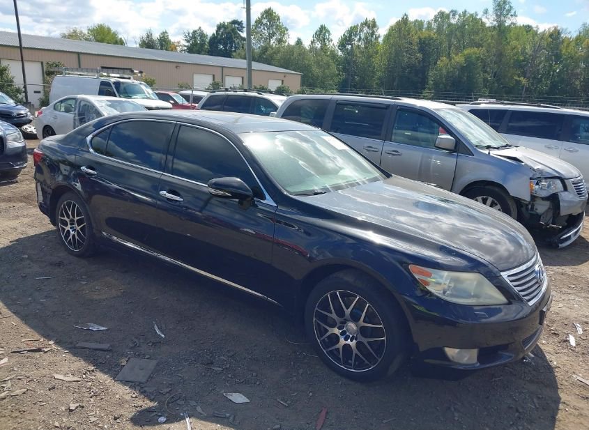 2010 LEXUS LS 460 L photo