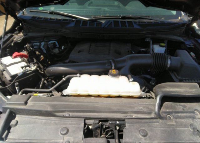 2021 FORD F-150(VIN: 1FTFW1E88MFB41222