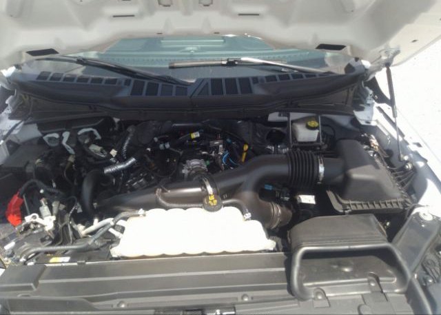 2021 FORD F-150(VIN: 1FTEW1CP0MFC17649