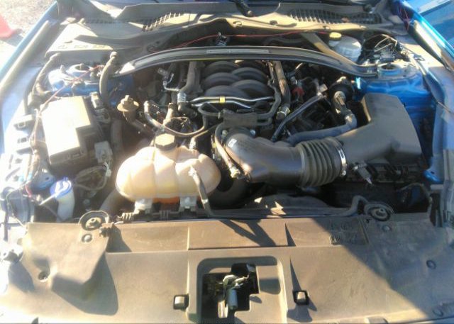 2021 FORD MUSTANG(VIN: 1FA6P8CF7M5117691