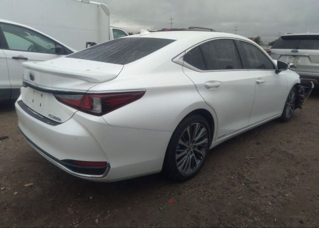 2021 LEXUS ES(VIN: 58ADA1C1XMU011051