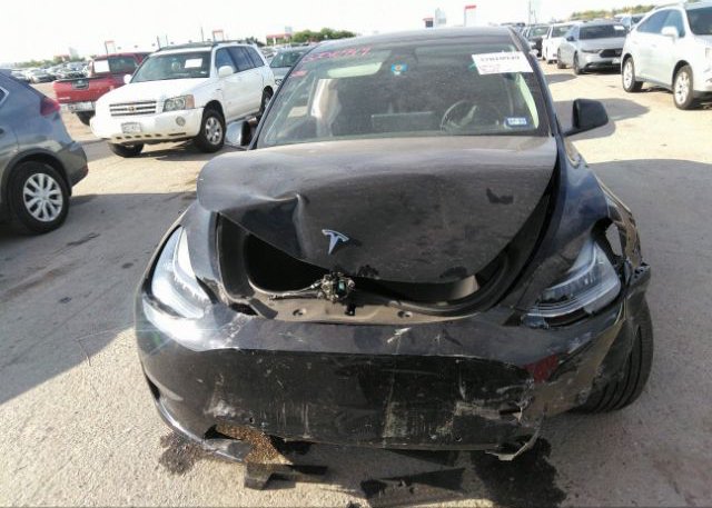 2022 TESLA MODEL Y(VIN: 7SAYGDEE6NA004458