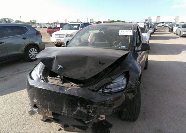 2022 TESLA MODEL Y(VIN: 7SAYGDEE6NA004458