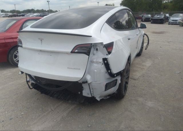 2023 TESLA MODEL Y(VIN: 7SAYGDEFXPF705258
