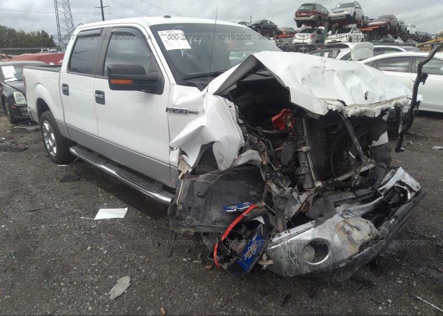1FTFW1CF0DKE16557 2013 FORD F-150