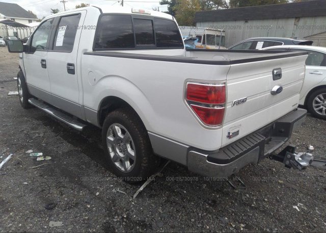 купить 2013 FORD F-150 1FTFW1CF0DKE16557