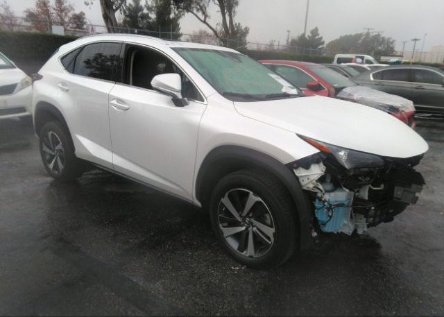 2021 LEXUS NX (VIN: JTJGARBZ1M5029198)