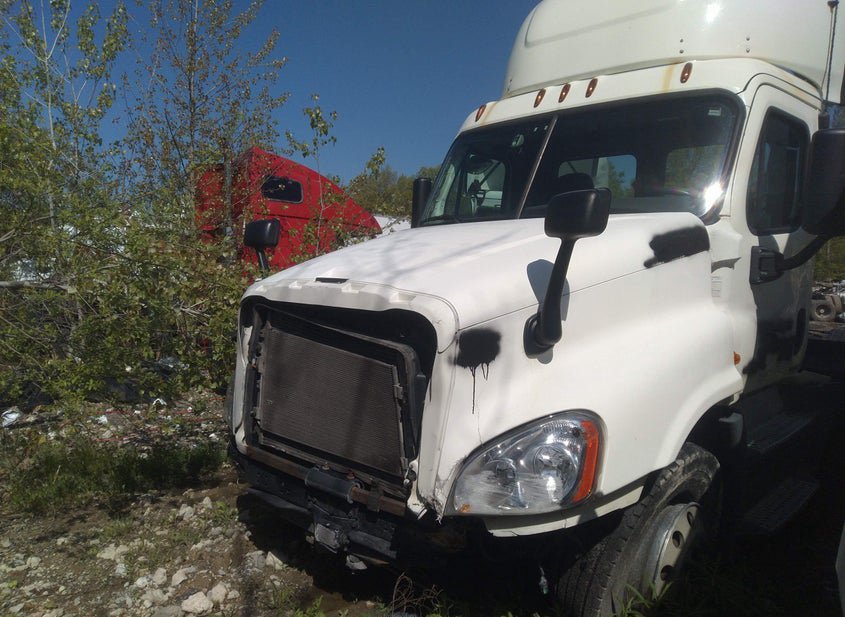 2017 Freightliner Cascadia 125 photo