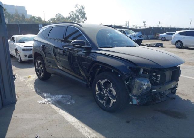 KM8JECA1XPU085586 2023 HYUNDAI TUCSON HYBRID
