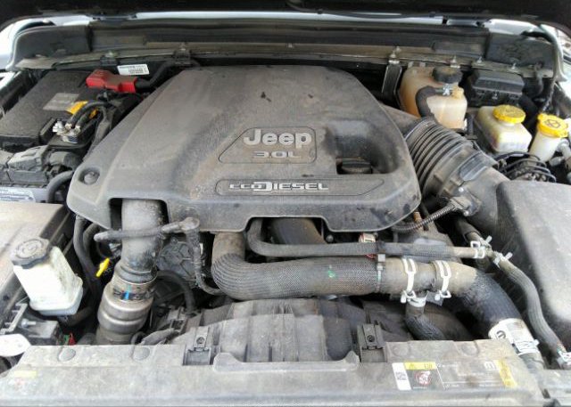 2021 JEEP WRANGLER(VIN: 1C4HJXDM1MW665000