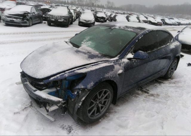 2021 TESLA MODEL 3(VIN: 5YJ3E1EB9MF019832