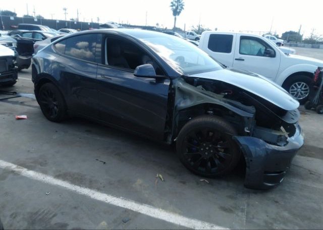 2021 TESLA MODEL Y (VIN: 5YJYGDEE7MF071035)