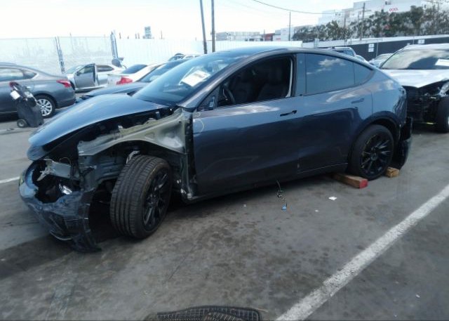 2021 TESLA MODEL Y(VIN: 5YJYGDEE7MF071035