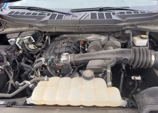 2021 FORD F-150(VIN: 1FTMF1CB4MKD70770