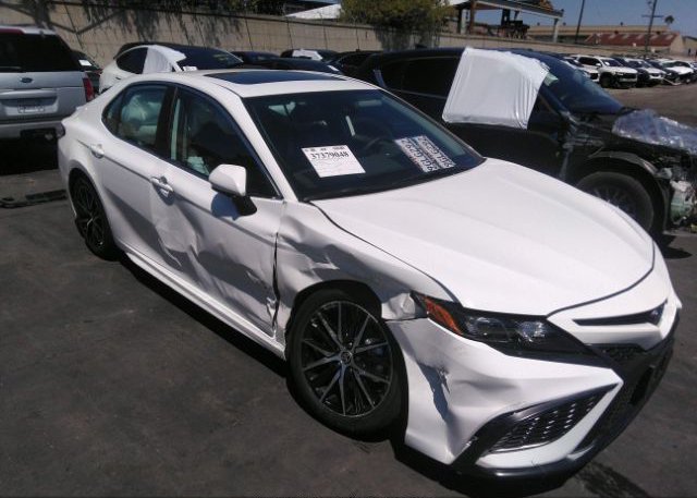 2023 TOYOTA CAMRY (VIN: 4T1S31AK1PU613295)
