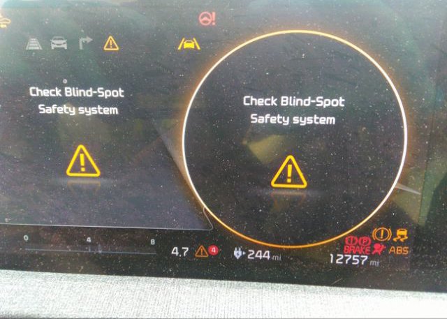 2022 KIA EV6(VIN: KNDC34LA3N5065967
