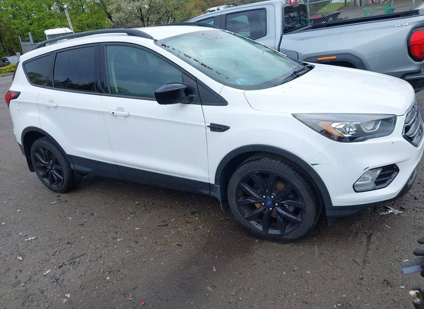 2019 Ford Escape 1.5L photo