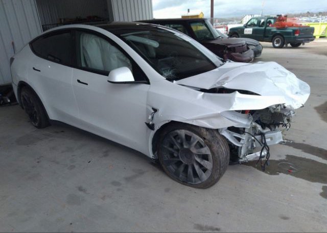 2023 TESLA MODEL Y (VIN: 7SAYGDEE3PA032009)