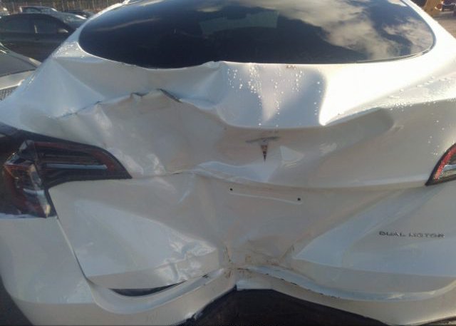 2023 TESLA MODEL Y(VIN: 7SAYGDEE1PA030887