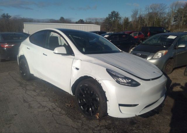 2023 TESLA MODEL Y (VIN: 7SAYGDEE1PA030887)