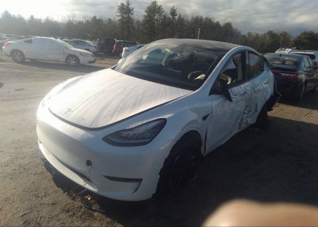 2023 TESLA MODEL Y(VIN: 7SAYGDEE1PA030887