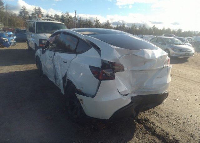 2023 TESLA MODEL Y(VIN: 7SAYGDEE1PA030887