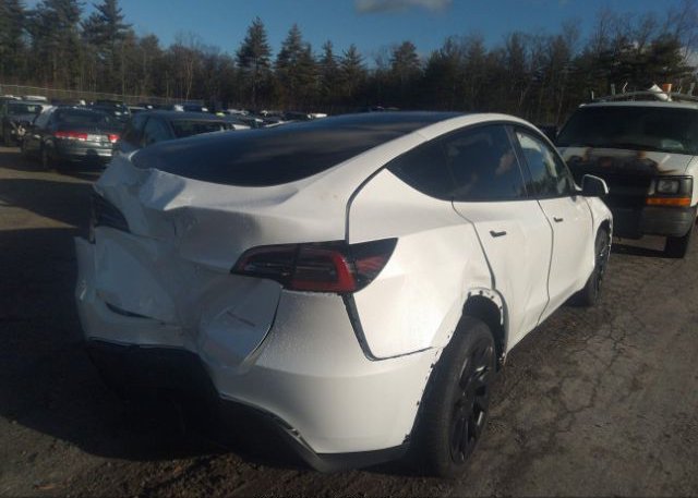 2023 TESLA MODEL Y(VIN: 7SAYGDEE1PA030887
